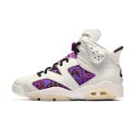 Air Jordan 6 "Cultural Heritage" CZ4152-101 | High-Top Basketball Sneakers for Men and Women