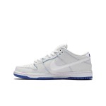 Nike SB Dunk Low Premium CJ6884-100 - Stylish Leather & Suede Skate Shoes for Performance and Comfort