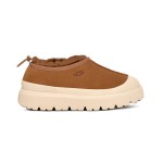 UGG Men's Tasman Weather Hybrid Chestnut/Whitecap - Waterproof Suede Outdoor Shoes