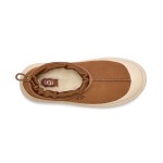 UGG Men's Tasman Weather Hybrid Chestnut/Whitecap - Waterproof Suede Outdoor Shoes