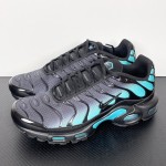 Nike Air Max Plus DM0032-016 Black Aurora Green TN sneakers for cyber streetwear outfits