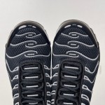 Nike Air Max Plus HQ3029-001 Black Reflective Metallic Silver TN sneakers with reflective streetwear styling