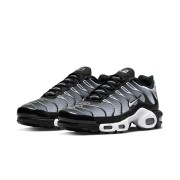 Nike Air Max Plus DM0032-003 Black White Gradient TN Sneakers – Monochrome Streetwear Shoes for Men