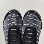 Nike Air Max Plus DM0032-003 Black White Gradient TN sneakers with monochrome streetwear styling