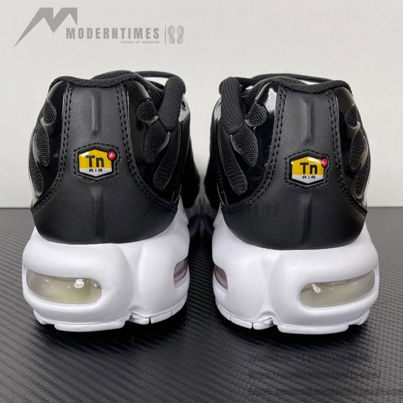 Nike Air Max Plus DM2362-001 Black White Reverse Gradient TN sneakers with monochrome streetwear styling