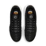 Nike Air Max Plus DM2362-001 Black White Reverse Gradient TN sneakers with monochrome streetwear styling