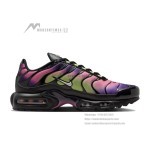 Nike Air Max Plus Northern Lights DZ3670-006 TN sneakers with aurora gradient mesh upper