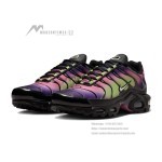 Nike Air Max Plus Northern Lights DZ3670-006 TN sneakers with aurora gradient mesh upper