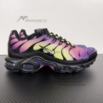 Nike Air Max Plus Northern Lights DZ3670-006 TN sneakers with aurora gradient mesh upper