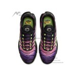 Nike Air Max Plus Northern Lights DZ3670-006 TN sneakers with aurora gradient mesh upper