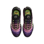 Nike Air Max Plus Northern Lights DZ3670-006 TN sneakers with aurora gradient mesh upper