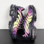 Nike Air Max Plus Northern Lights DZ3670-006 TN sneakers with aurora gradient mesh upper